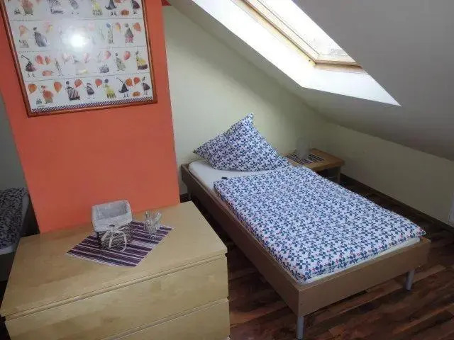 Sehr-schoene-4-Raum-Maisonette-Fewo-mit-100qm-zentral-preiswert-T9