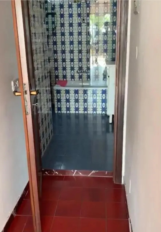 Bellissima Cervo