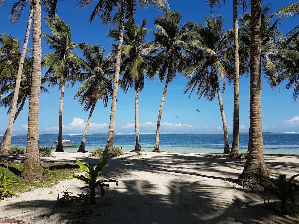 Mango Tree Siargao