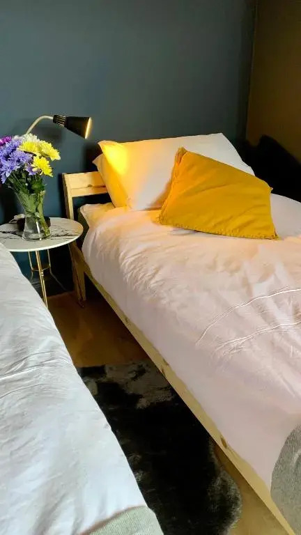 Apartment in City centre, 4 guests, CAR PARK