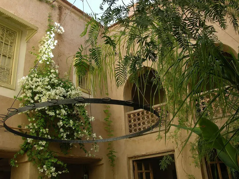 Dar Zahia