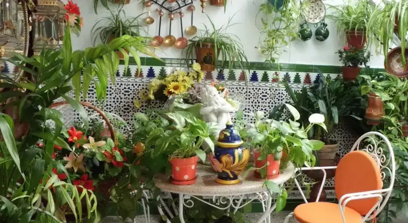 Pensión Agustina