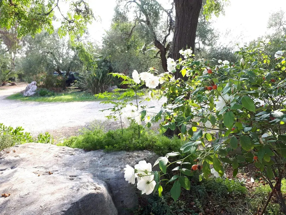 Agriturismo Le Vedute