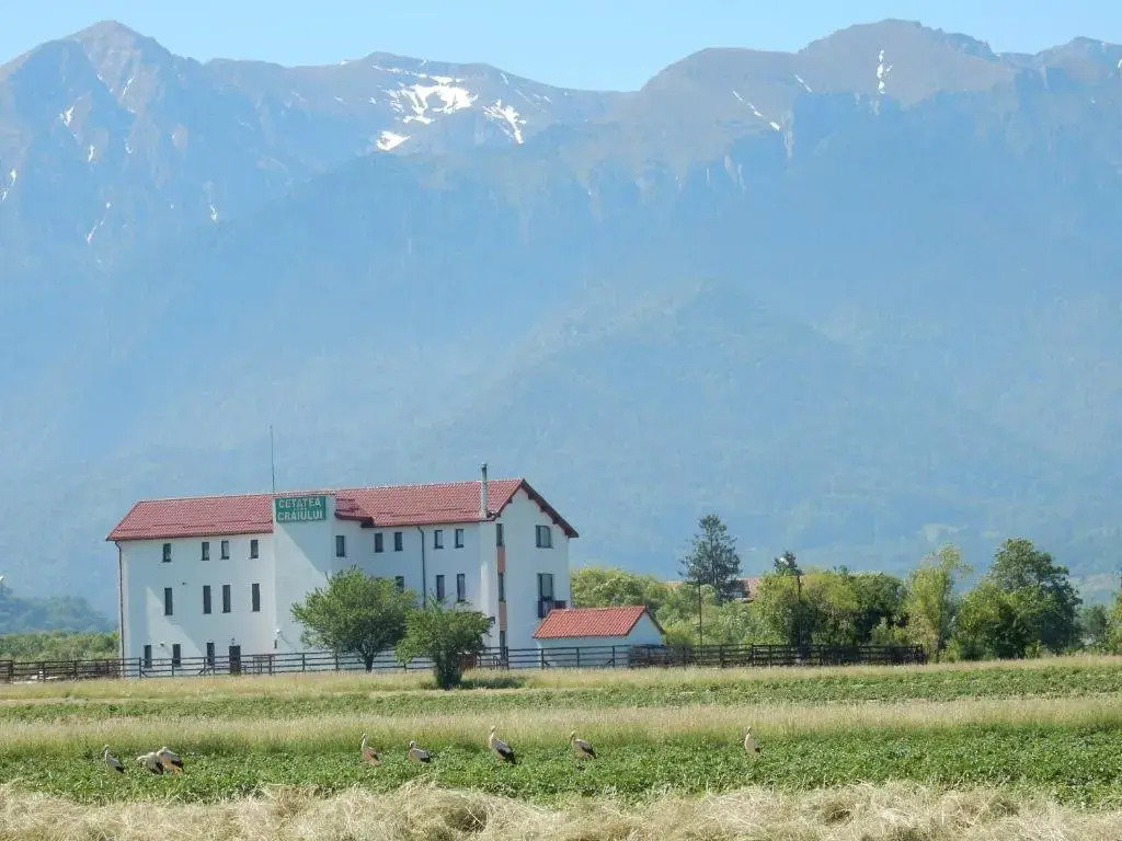 Pensiunea Cetatea Craiului