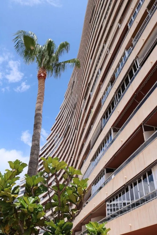 Apartamentos Florazar II Ajhory
