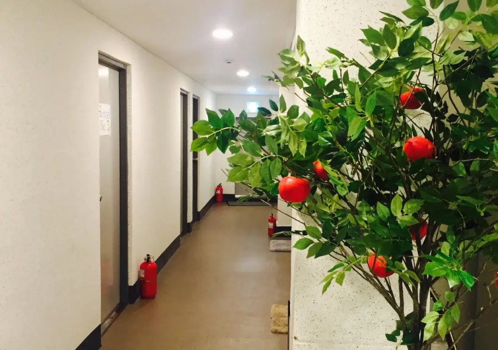 Dongseongro ZERO guesthouse