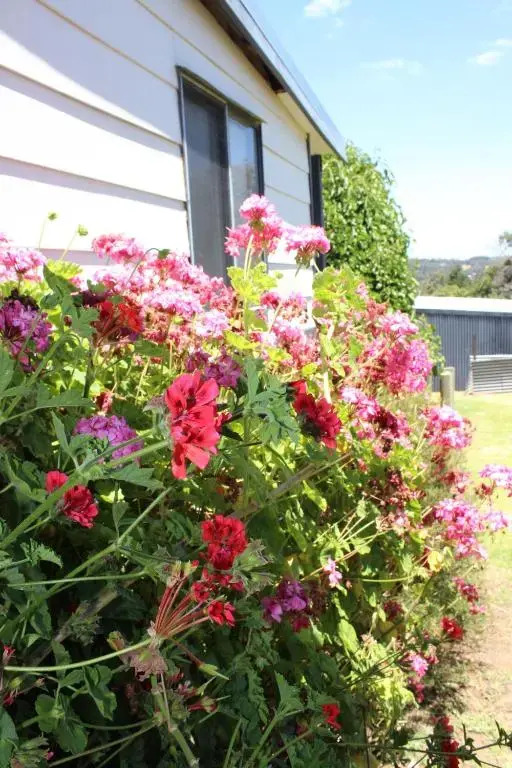 Yvonnes Rest Holiday Home