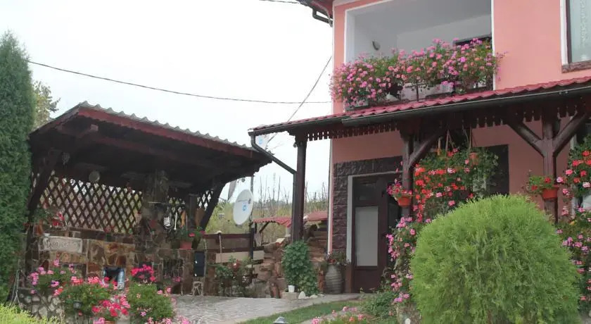 Pensiunea Flori