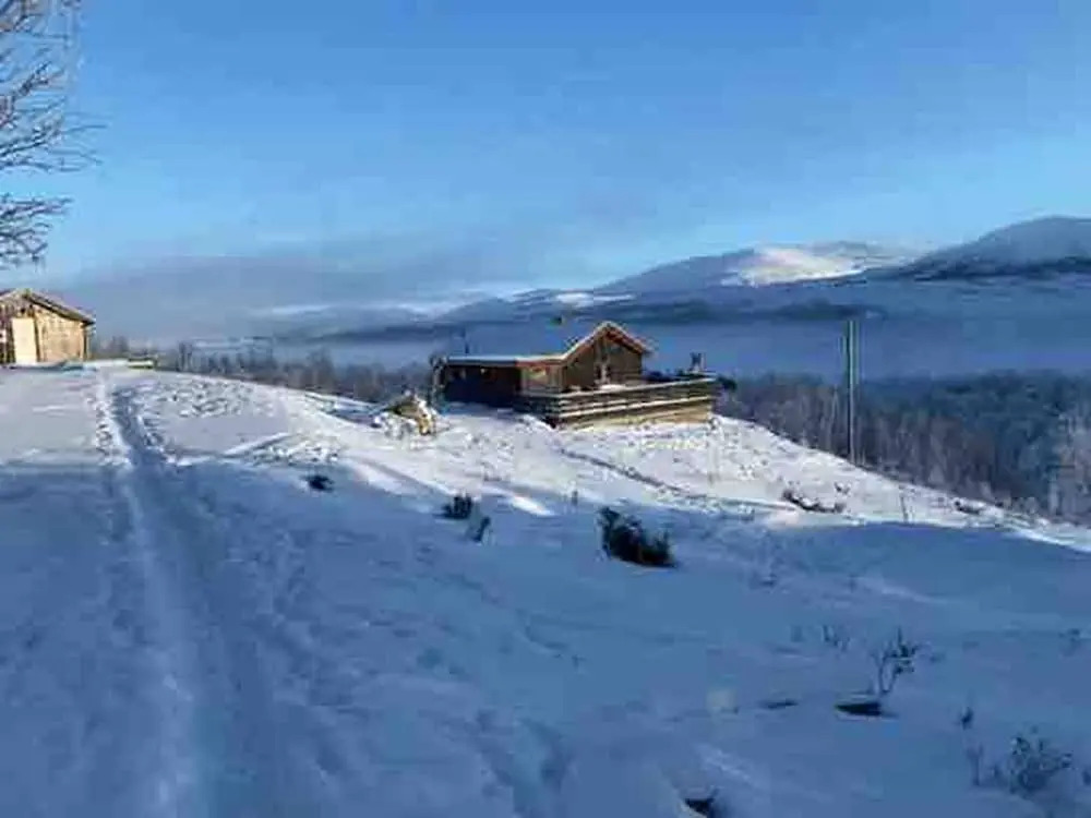 Live in the Realm of the Musk Oxen on Dovrefjell