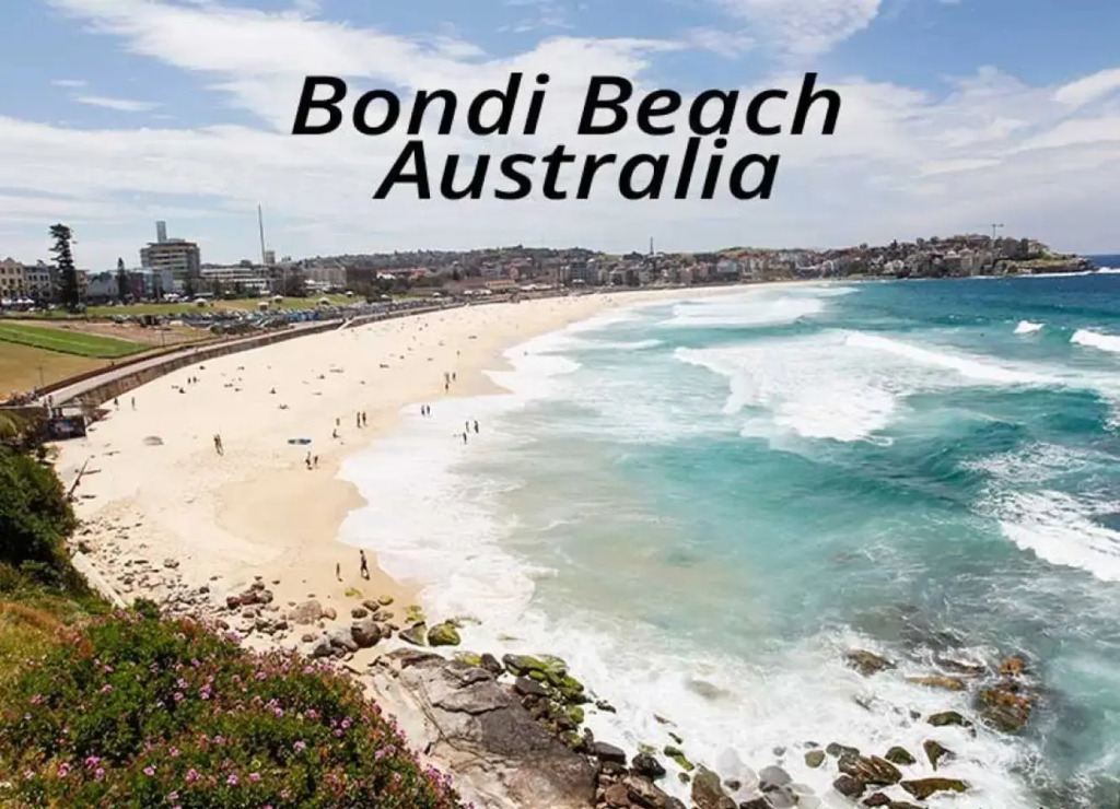 Beautiful Bondi H335