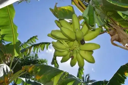 Pousada Malea