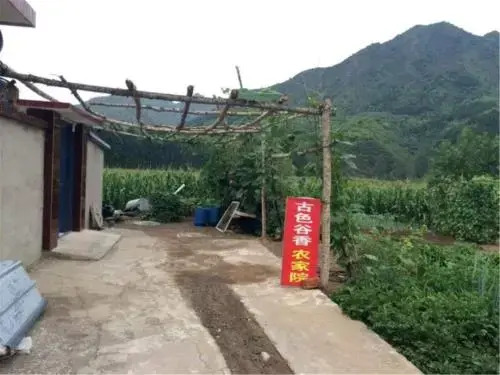Gu Se Gu Xiang