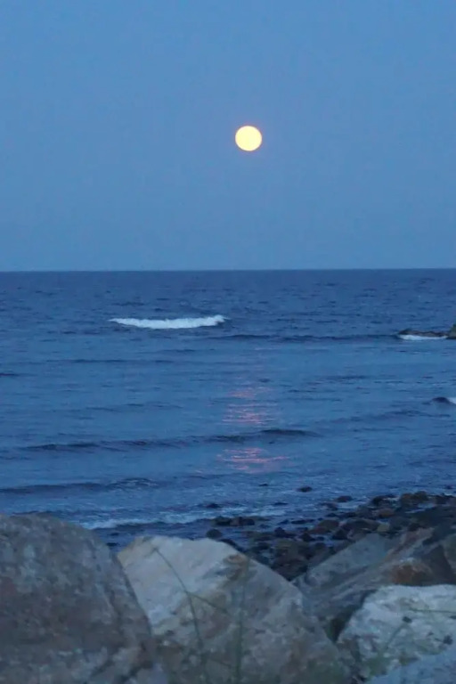 Seascape Inn