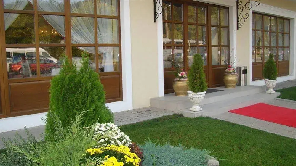 Ramina Timisoara