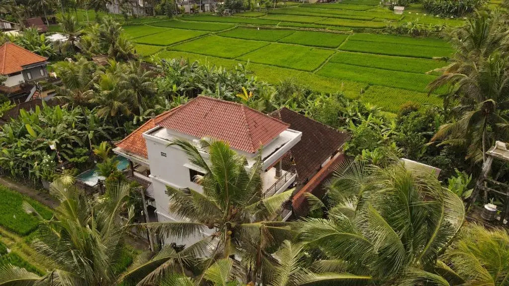 Nirwa Ubud Homestay