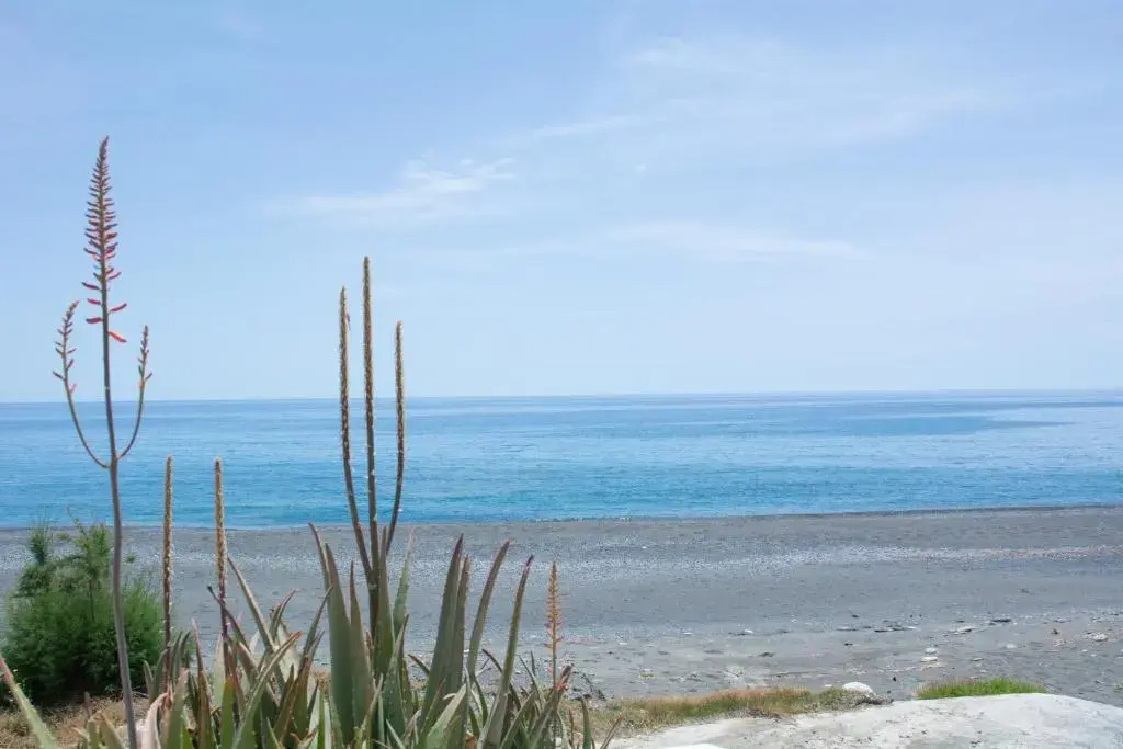 Stella's Beach House