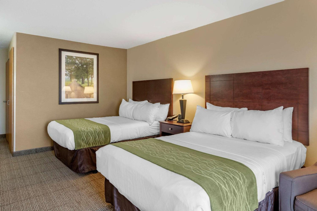 Comfort Inn Lansing West