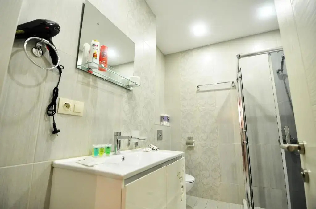 Serviced Apartment on Rustaveli Avenue 3