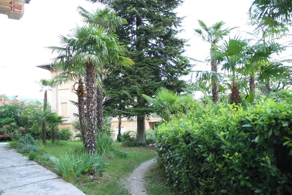 Apartments Rezine
