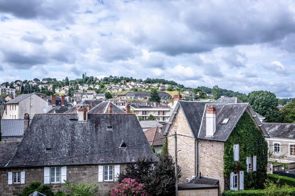 ROOSEVELT #7 - Studio coquet - 1 chambre