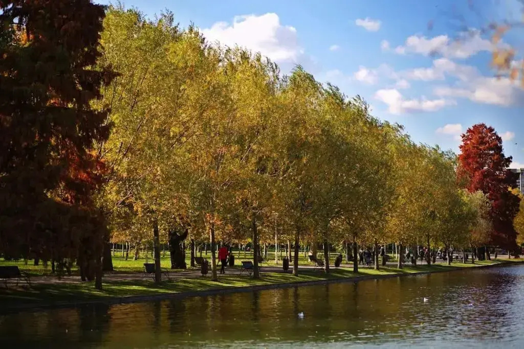 Excellent price for Bucharest group travelers