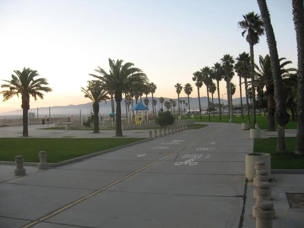 Venice Beach Gem