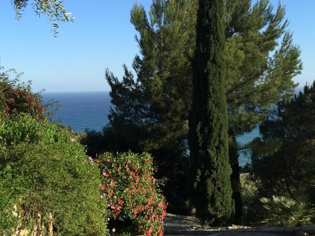 Uliveto Saglietto Agriturismo Poggi Apartments