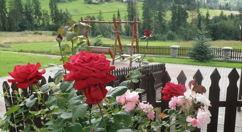 9 Sił Murowany Dom