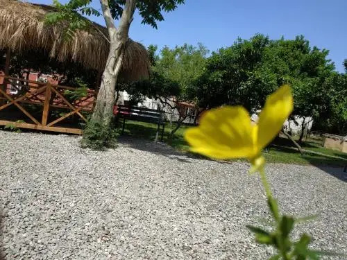Kolkhi Guest House