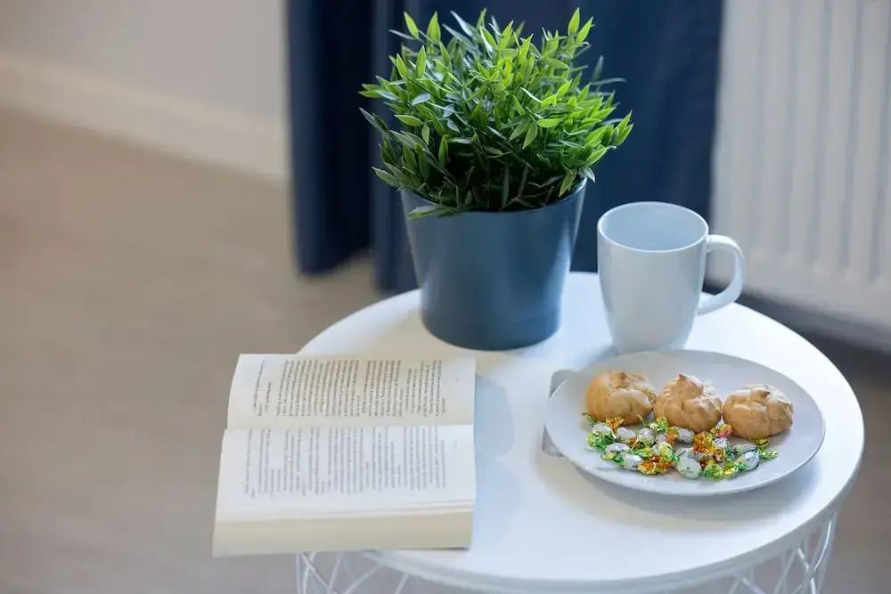 Cicha Przystań Apartamenty Platany