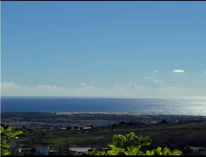The Black Horse Canarias