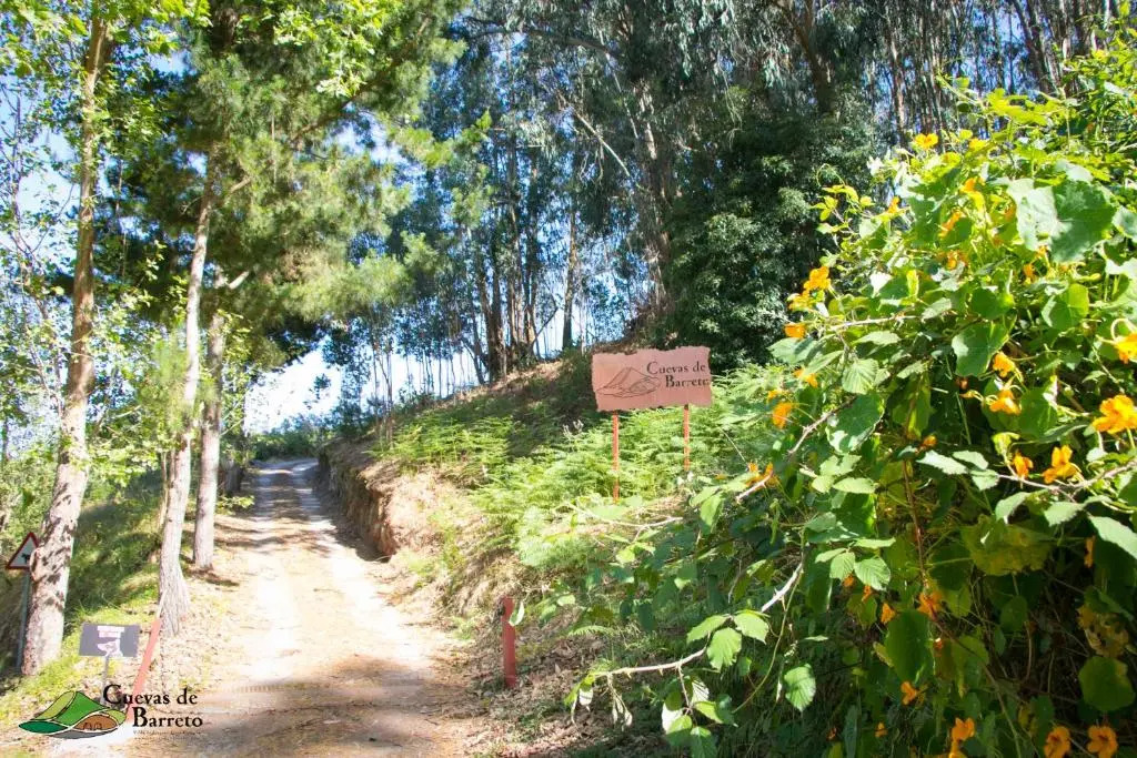 Cuevas De Barreto