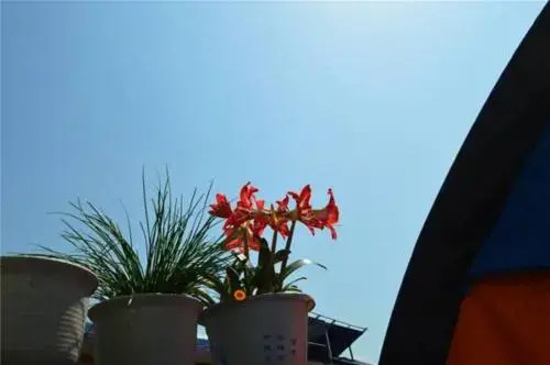 Zhangjiajie Fly Youth Hostel