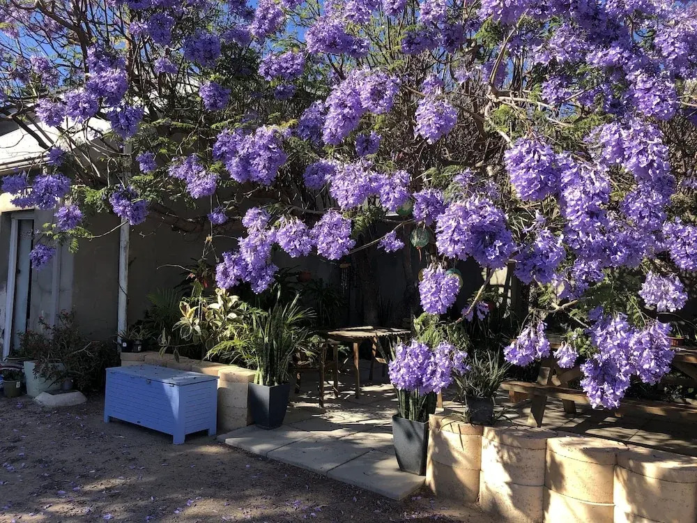 Geraldton Shoreline Lodge