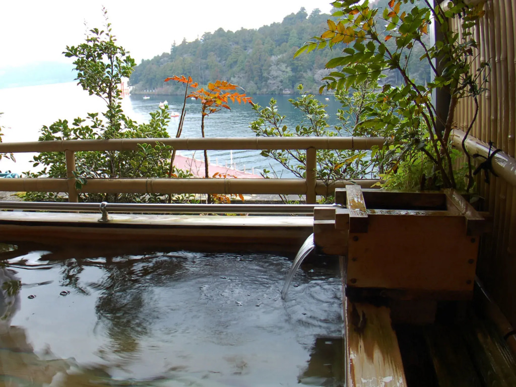 Hotel Musashiya