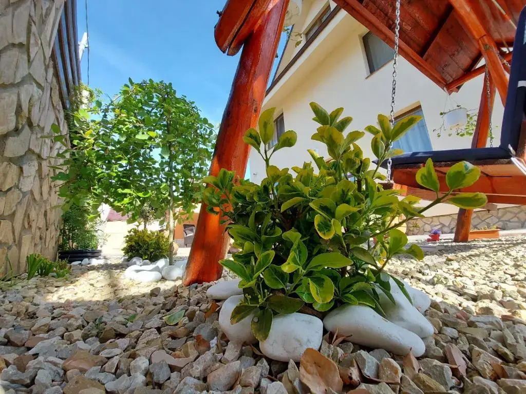 CASA IV