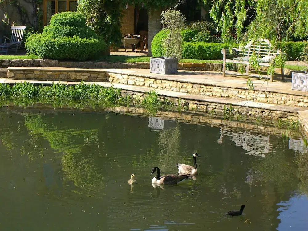 Mill Hay Country House - B&B