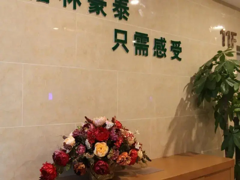 GreenTree Inn Xingtai Development Zone Zhongxing Road International Metro Hotel