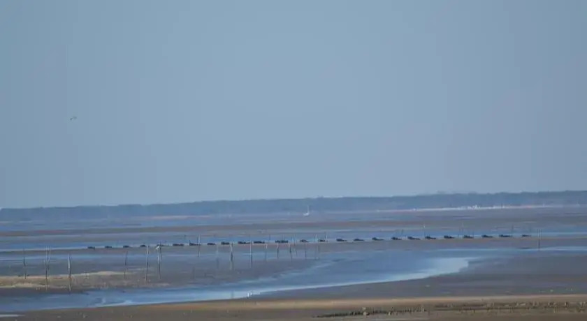 Maison au bord de leau au port de Larros