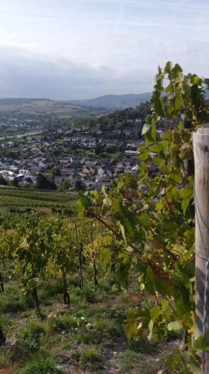 Schlössje