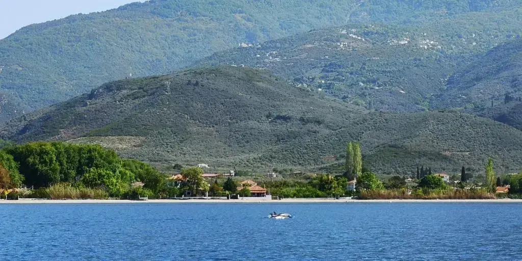 Pelion Platanidia seaside house