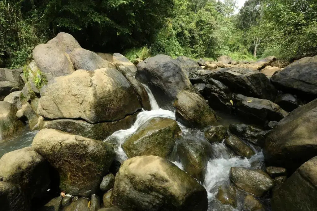 Ayursakthi Riverdale