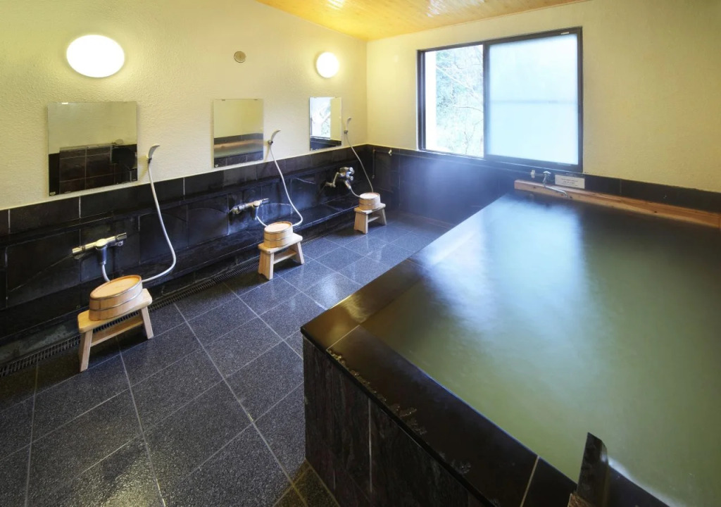 Ashinoko Ichinoyu Hotel