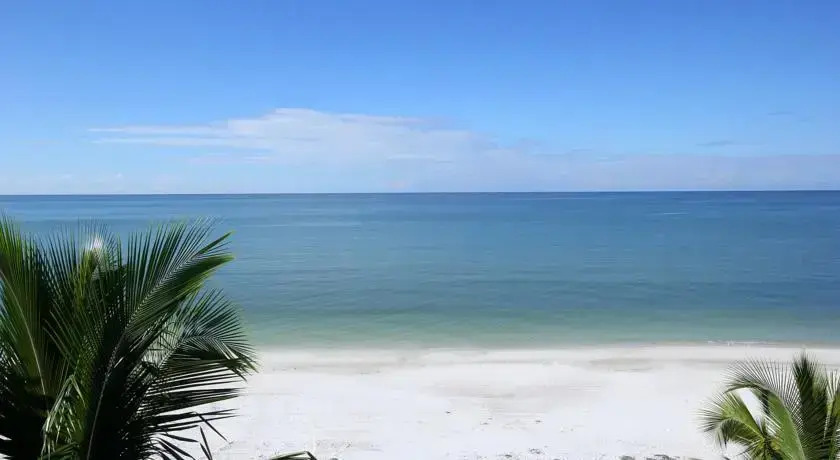 Shells n Sunshine