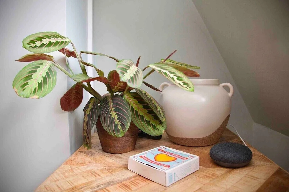 The Georgian Loft Apartment Central Bath