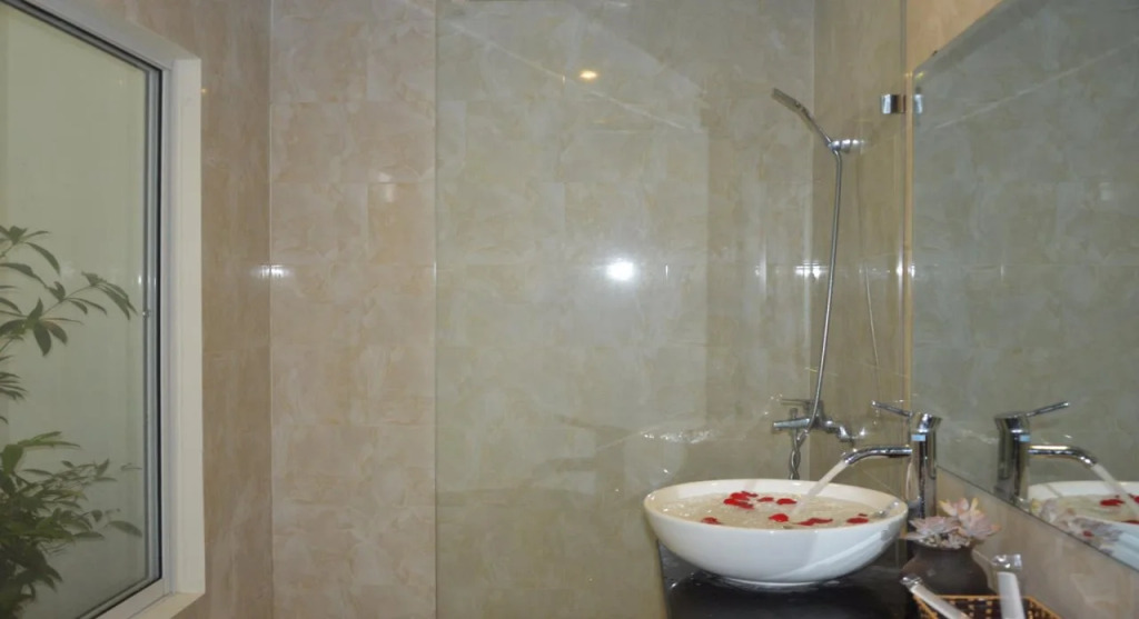 Hoian Succulent Homestay