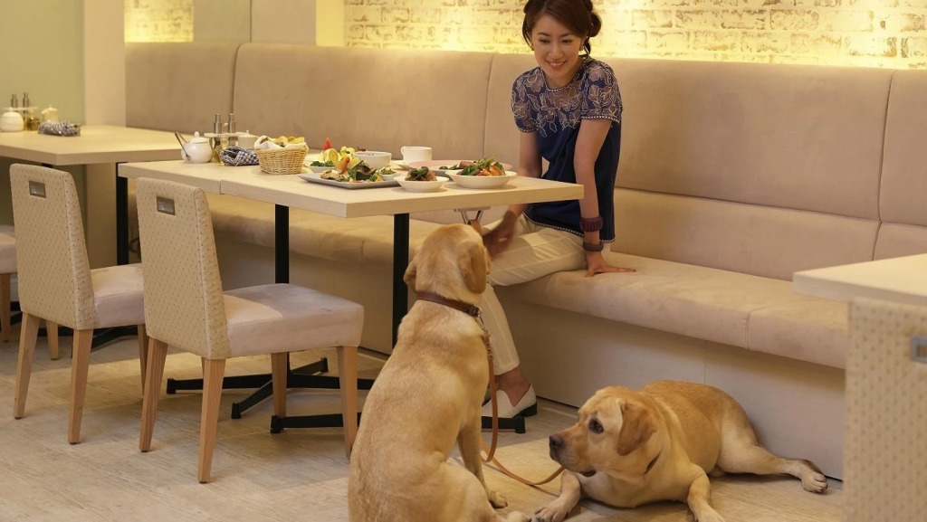 Koyaru-no-sato Doggys Island