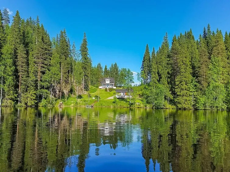 Villa akuliina