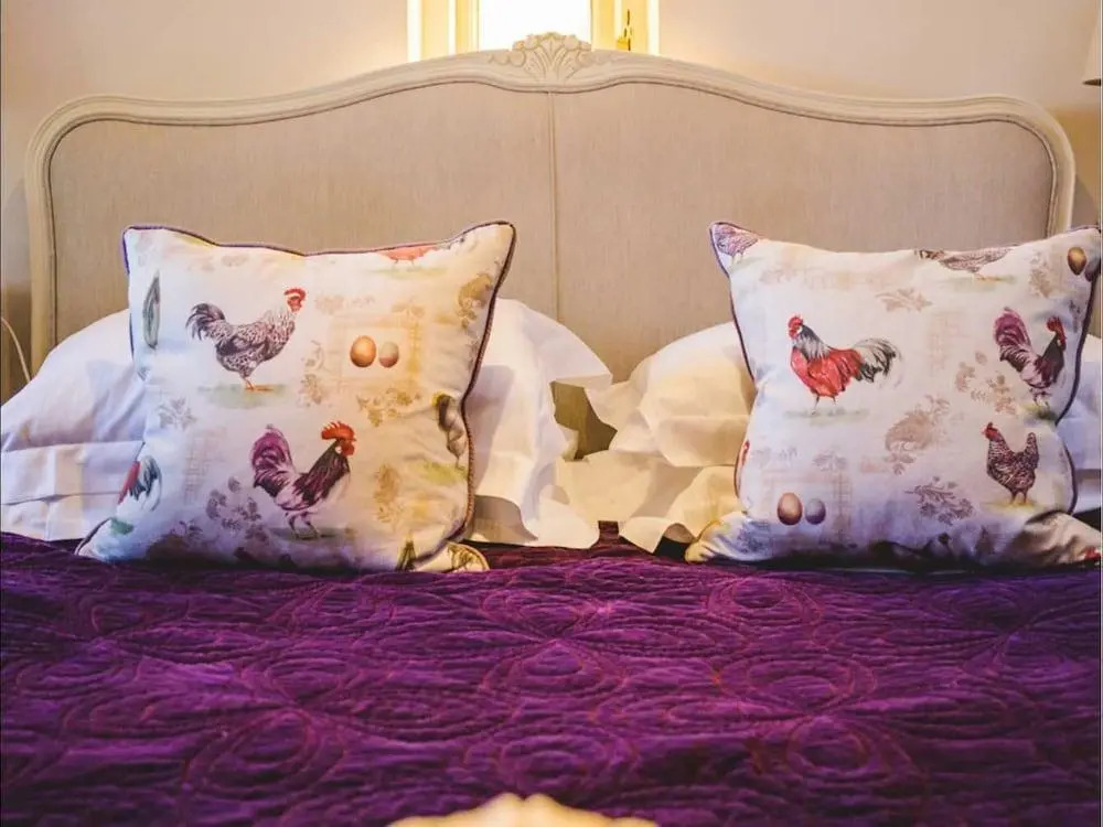 The Feathered Nest