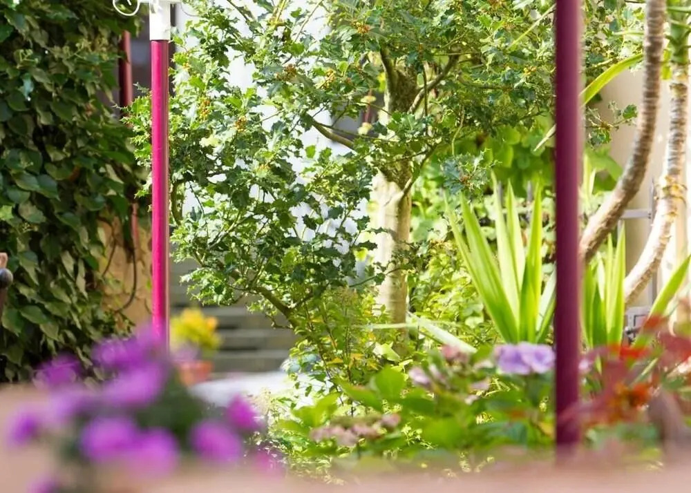 Hotel Ambiente